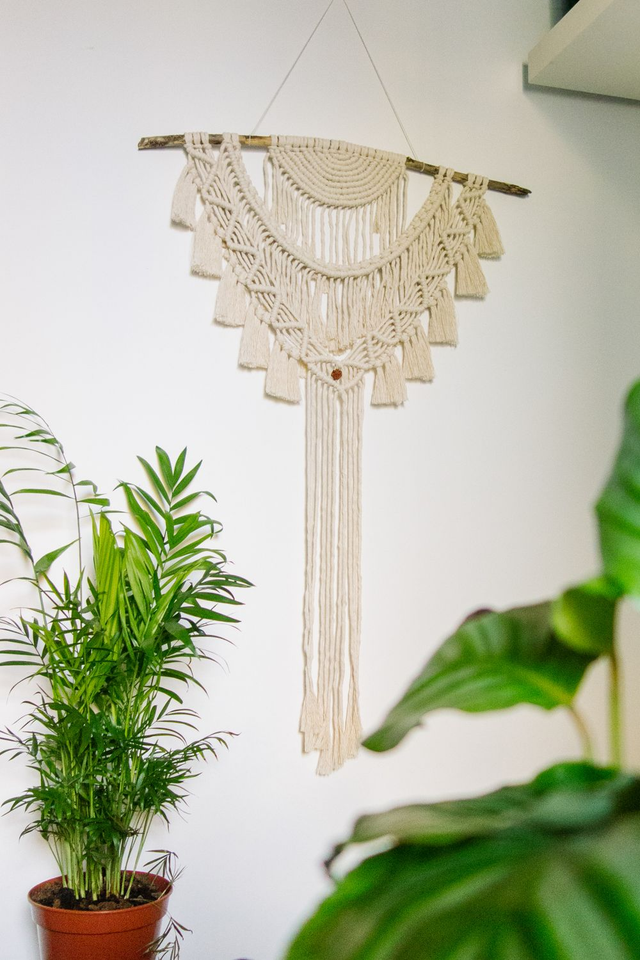 𝐴𝑟𝑎𝑧𝑧𝑜 𝑇𝑒𝑙𝑜𝑝𝑒𝑎