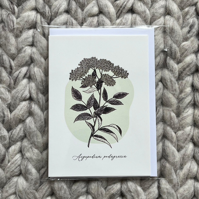 Greeting card Elderflower