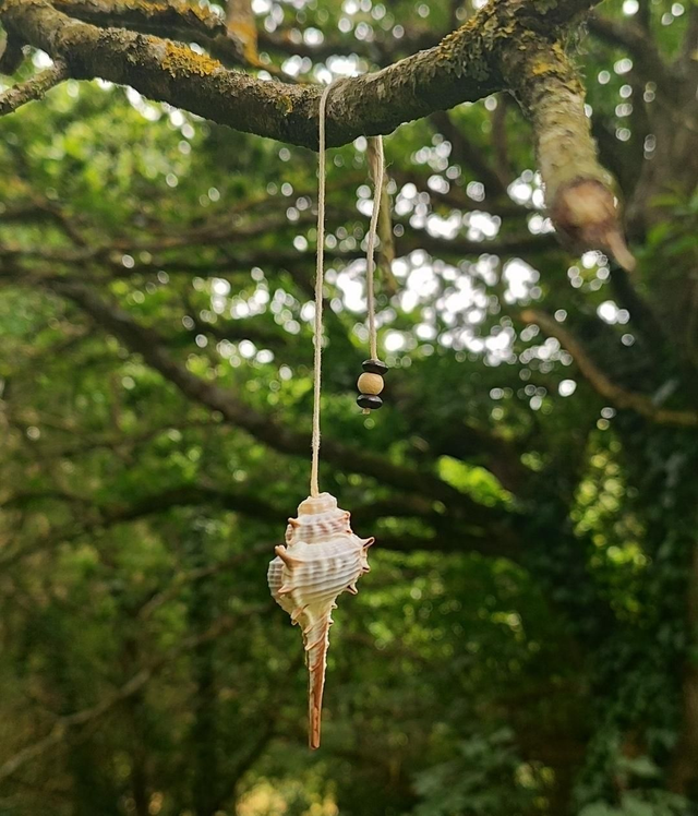 Pendule coquillage &quot;Murex&quot; #3