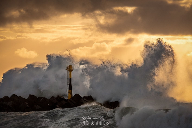 Fougue océanique angloy 80x120