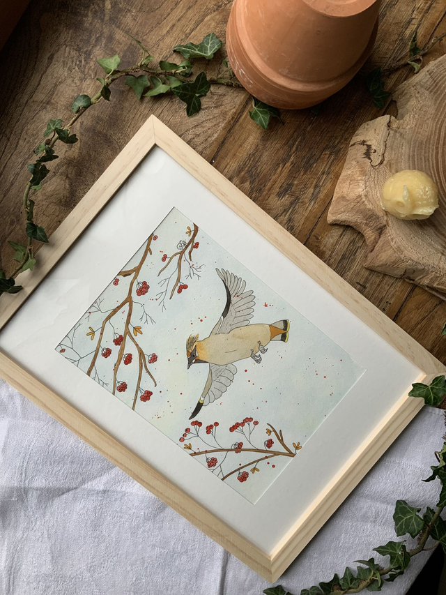 « Jaseur Boréal »