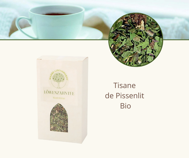 Tisane de Pissenlit