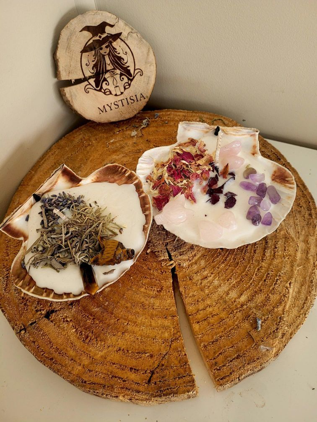 Lot de deux bougies coquilles Saint-Jacques