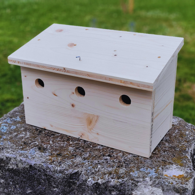 Nichoir triple à moineaux 🐦