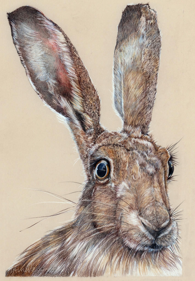 Howard's hare Original SOLD