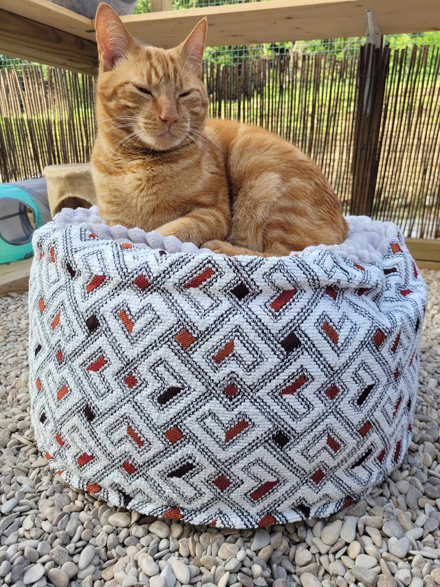 Pouf Chat