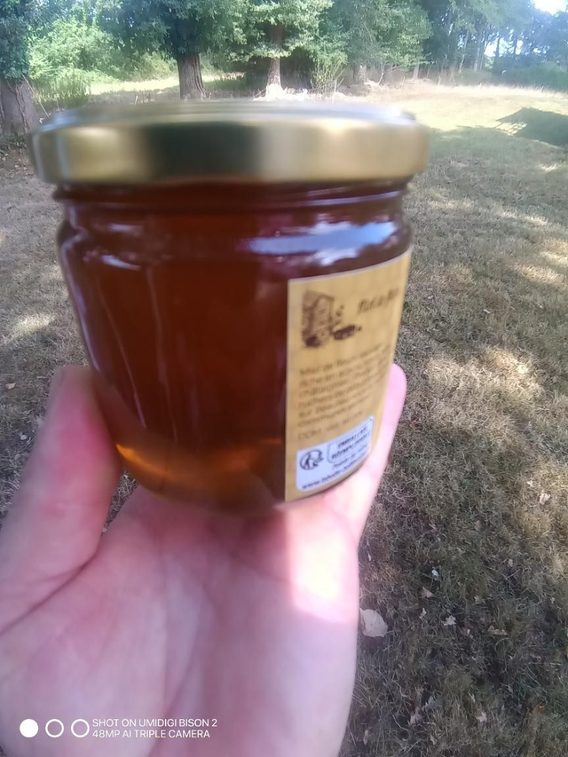 Miel fleur ronce 500grs