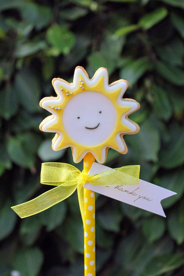 Teacher Biscuit Pop