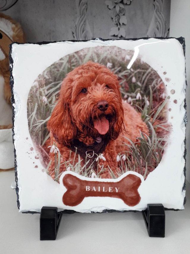 Personalised Dog Slate 14x14cm