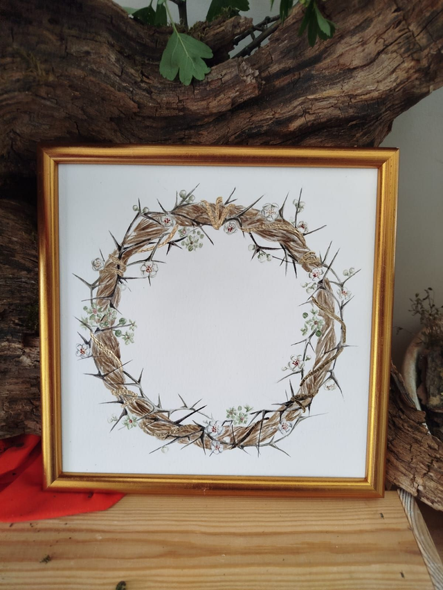 Couronne d épine d&#039;aubépine