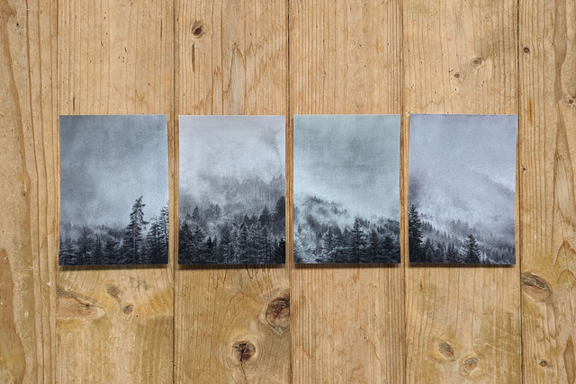 4er Set Postkarten (Nebel)