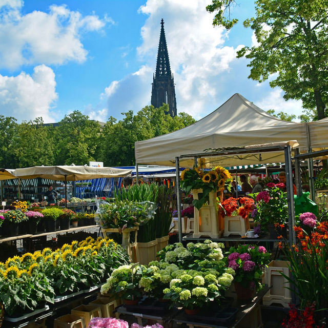 Wochenmarkt mit Blick zur Lamberti