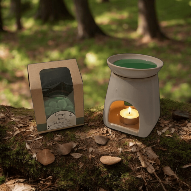 Kit Fondants Parfumés – Balade en Forêt