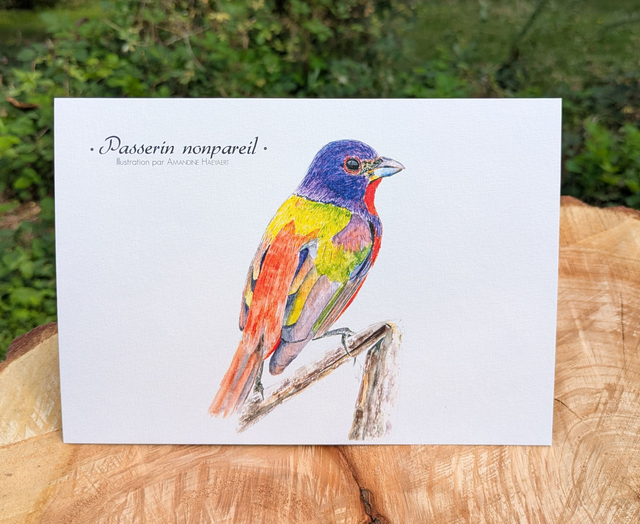 Tirage Passerin nonpareil