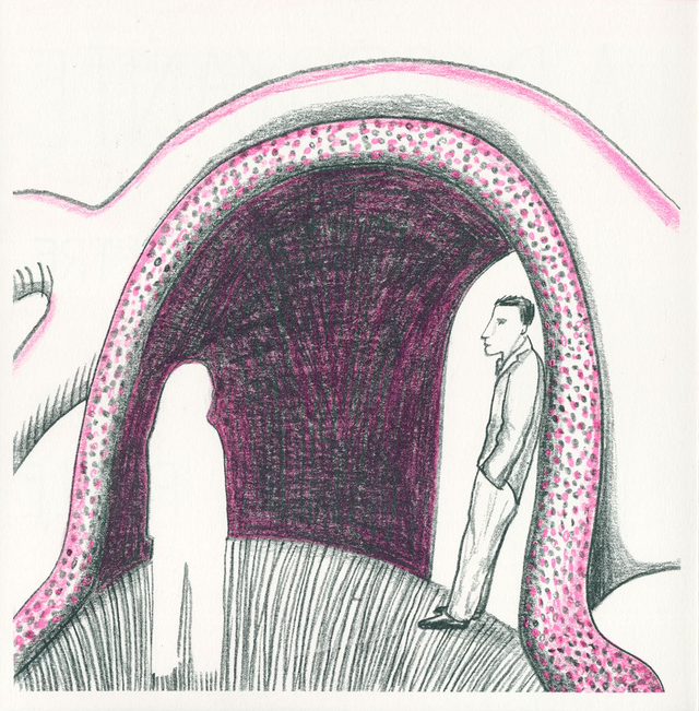 PEUT-ÊTRE • Paille