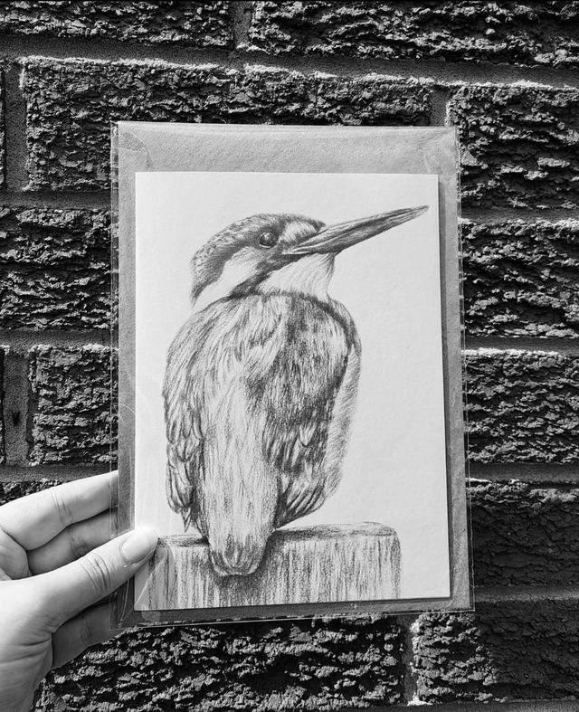 Kingfisher Greetings Card