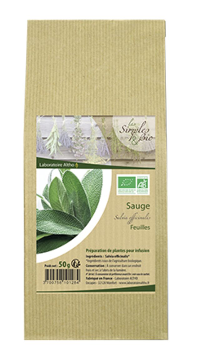 Plante Sauge Feuilles