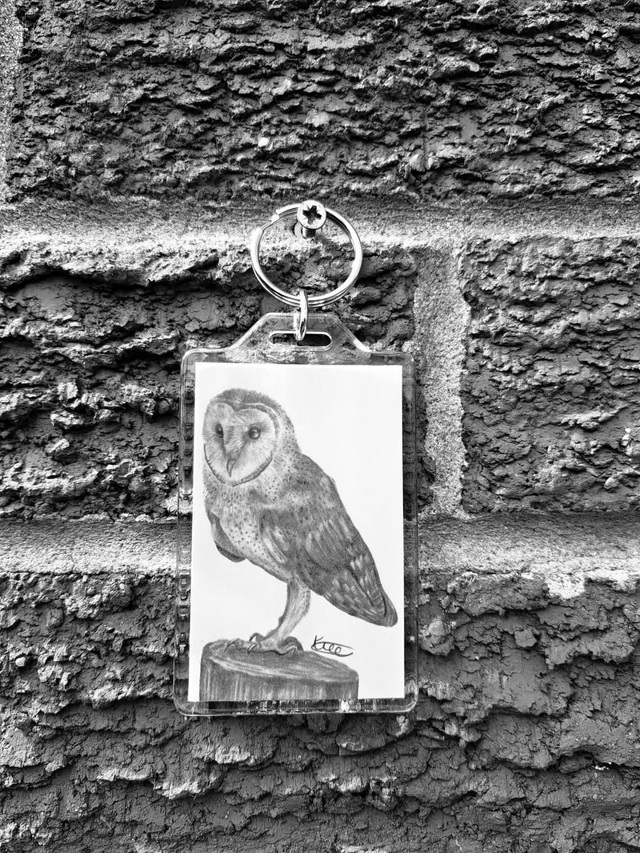 Barn Owl Keyring