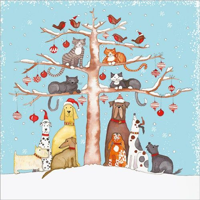 Charity Christmas Card Pack - 8 cards of the same design with envelopes