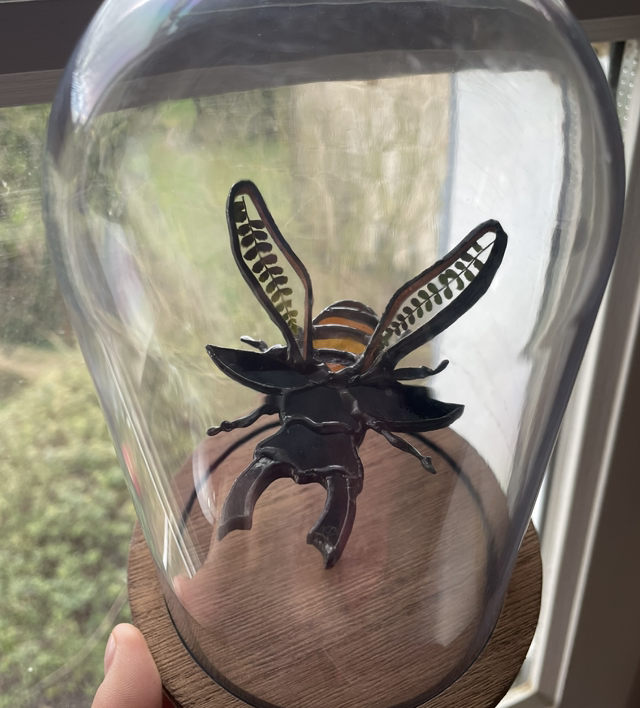 Force Silencieuse – Lucane Cerf-volant