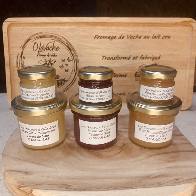 Compotée fruitée d'accompagnement pour fromages, faite maison