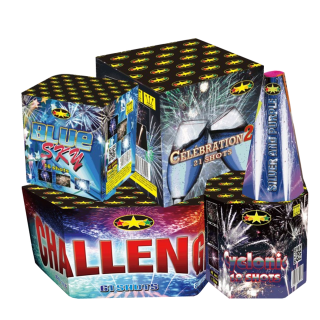 Pack batterie 100