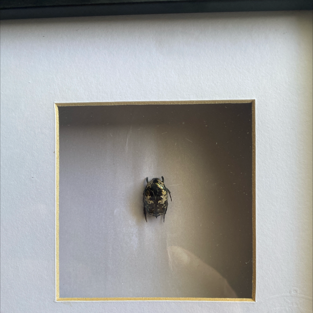 Atelier Bébète L’argent 