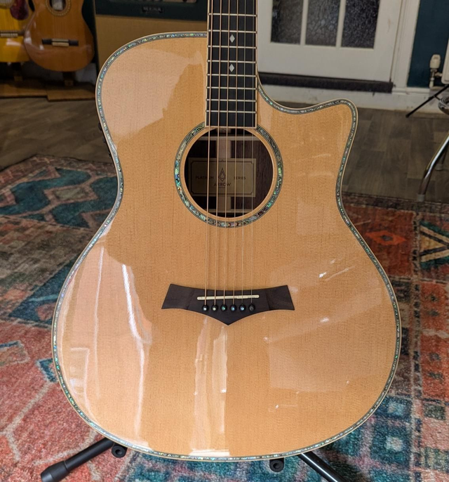 Arrow Platinum Rosewood electro acoustic 