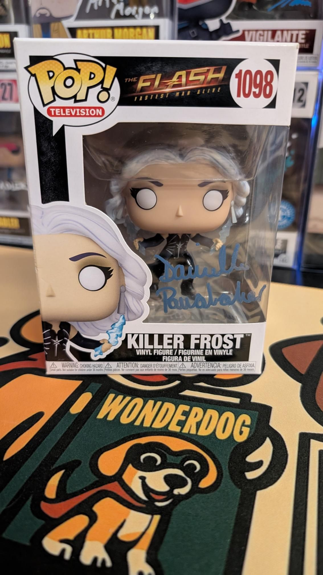 Funko Pop DC The Flash Killer Frost 1098 Signed By Danielle Panabaker with SWAU COA 