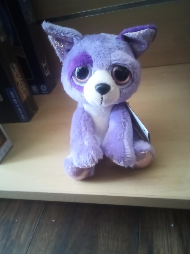Petit chien 
