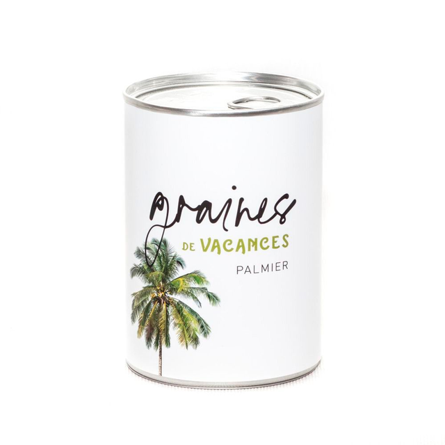 Graines de Vacances, palmier