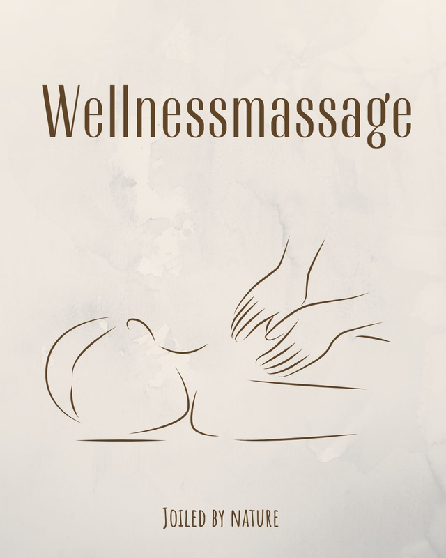 Wellnessmassage - 60 minuten