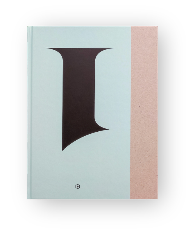 Cordasco Catherine / Agostini Stefania / Mostarda Luca / AMArchitectrue - 1 Viceversa (matita)