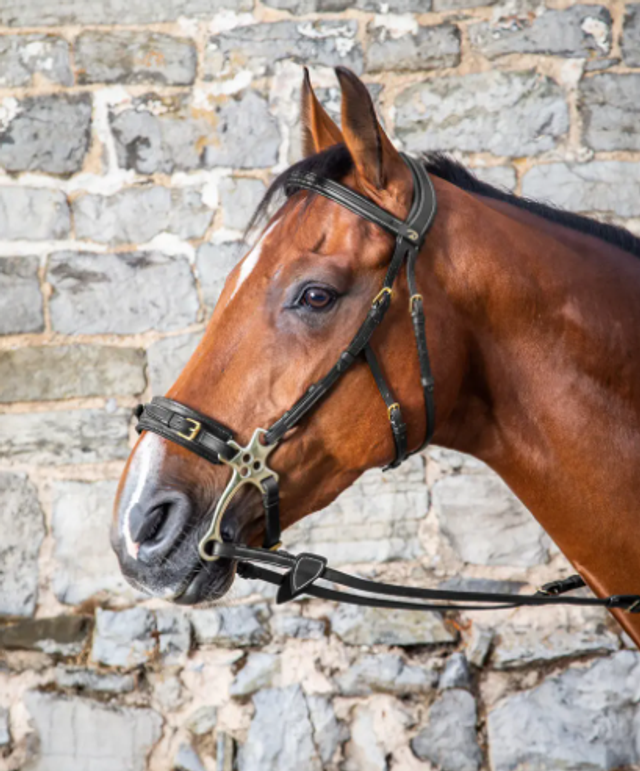 Bridon Hackamore Dyon
