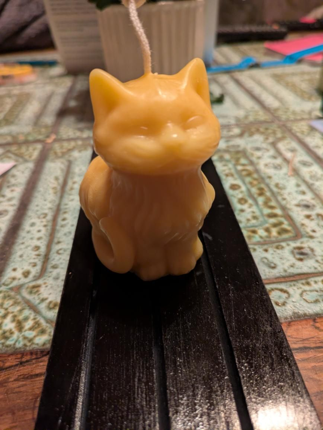Cat Beeswax Candle