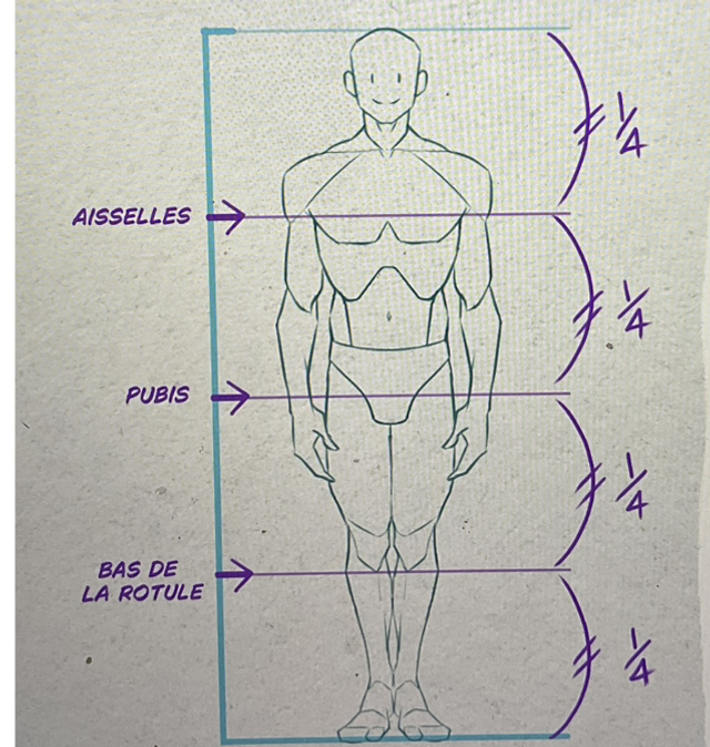 Les clés du dessin : Corps et proportions humaines. (Dimanche 7 mars 2027)