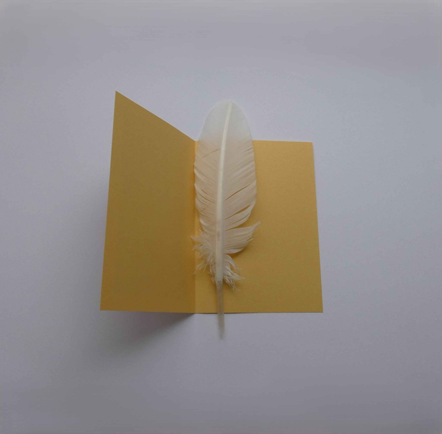 L'orang-outan de Noël