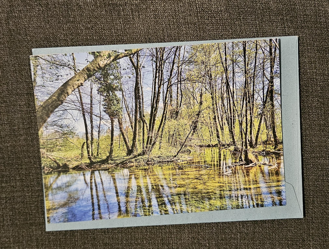 Tree and Water Card 