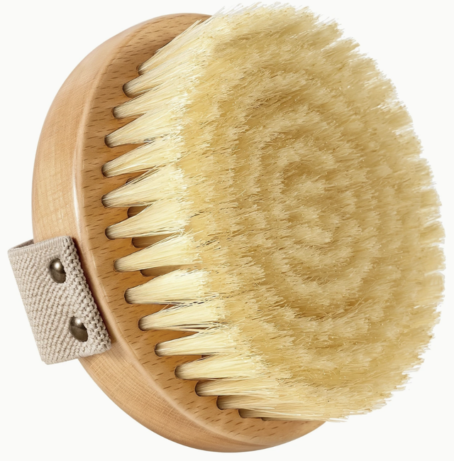 Brosse pour brossage à sec Corps 