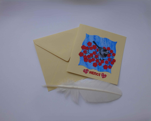 La bergeronnette grise du remerciement 