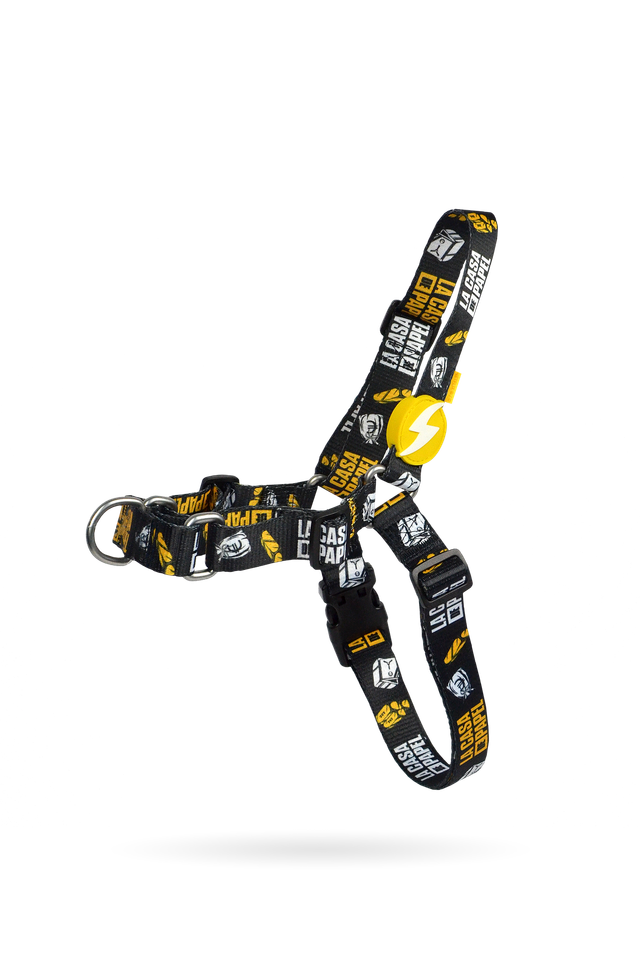 LCDP Golden front harness