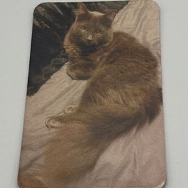 Personalised Fridge magnets 