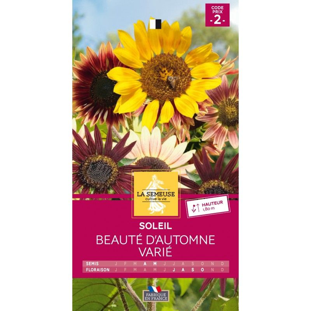 SOLEIL BEAUTE D&#039;AUTOMNE VARIE