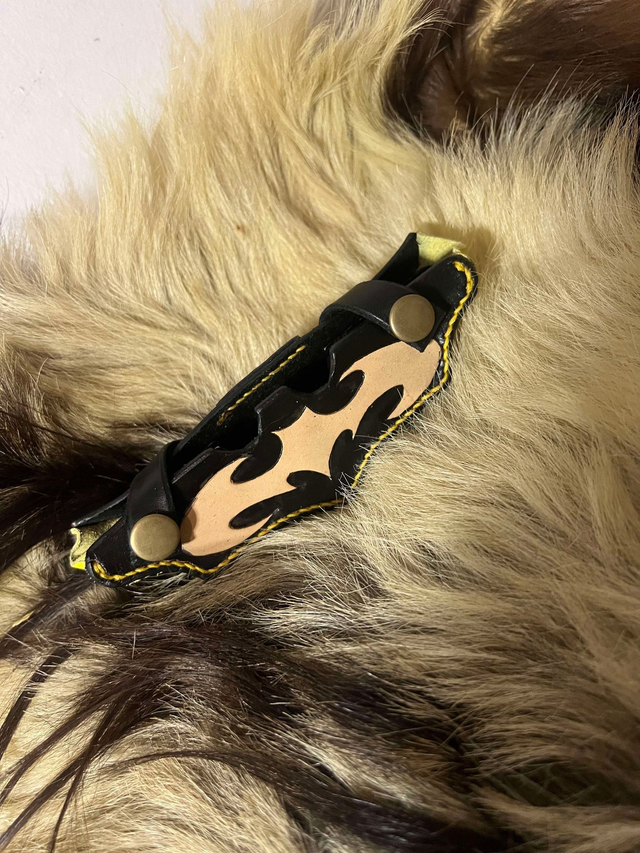 Etuis couteaux Batman