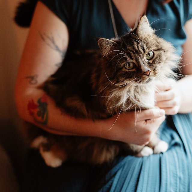 Session intuitive animalière 