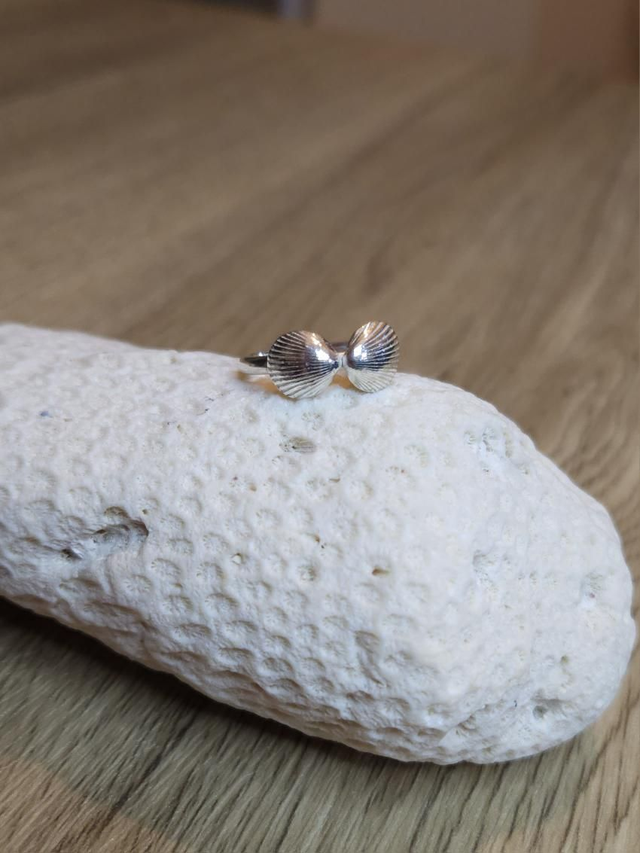 Clam double shell ring