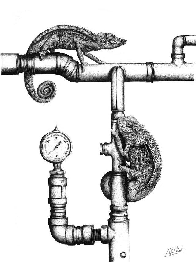 Caméléon - Edition Art