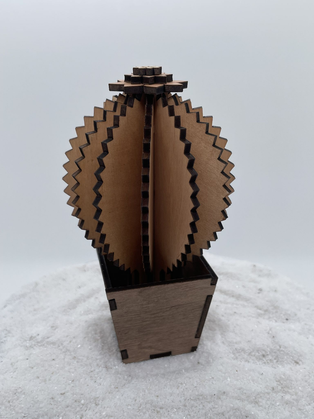 Cactus grosse boule et son pot