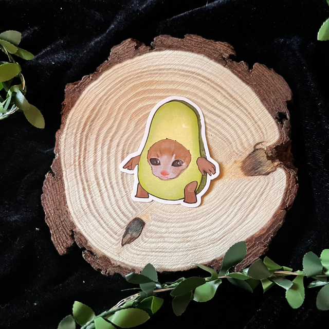 Sticker Gatos comida // Aguacate