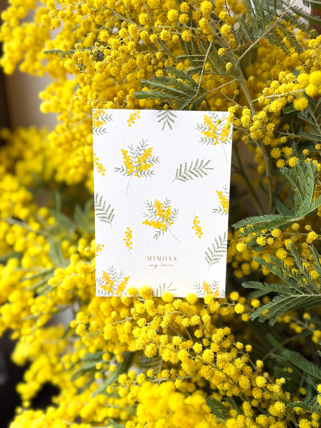 Carte postale Pulsion créative - Mimosa my love